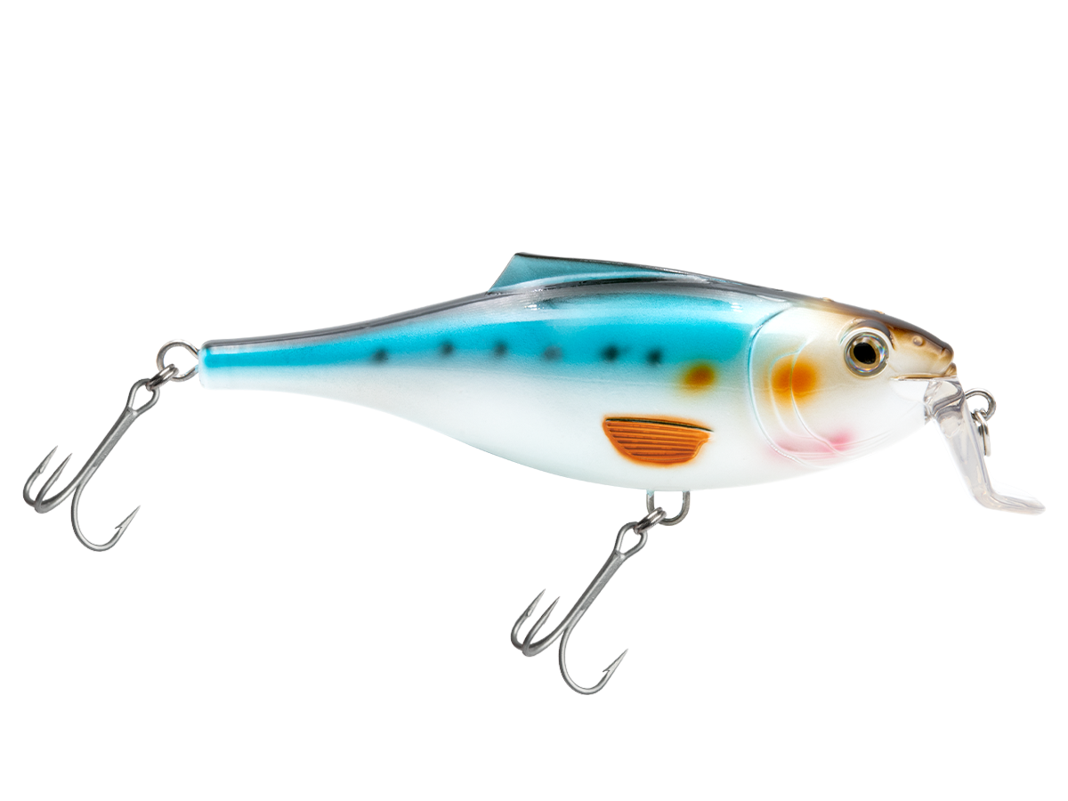 BullDozer SW - fishing lure, view 10