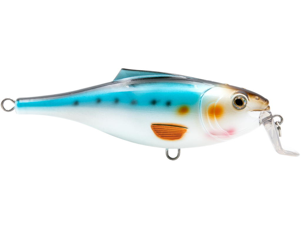 BullDozer SW - fishing lure, view 34