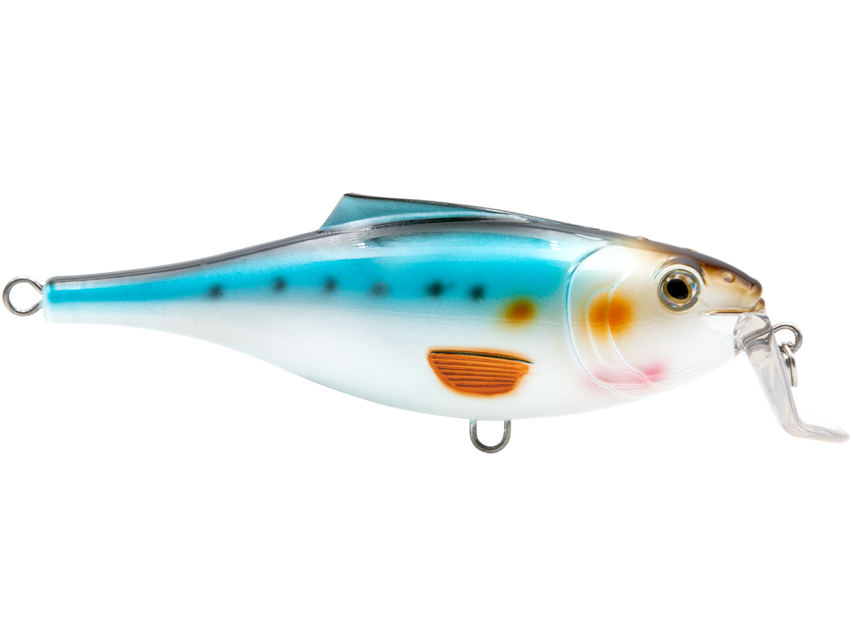BullDozer SW - fishing lure, view 34