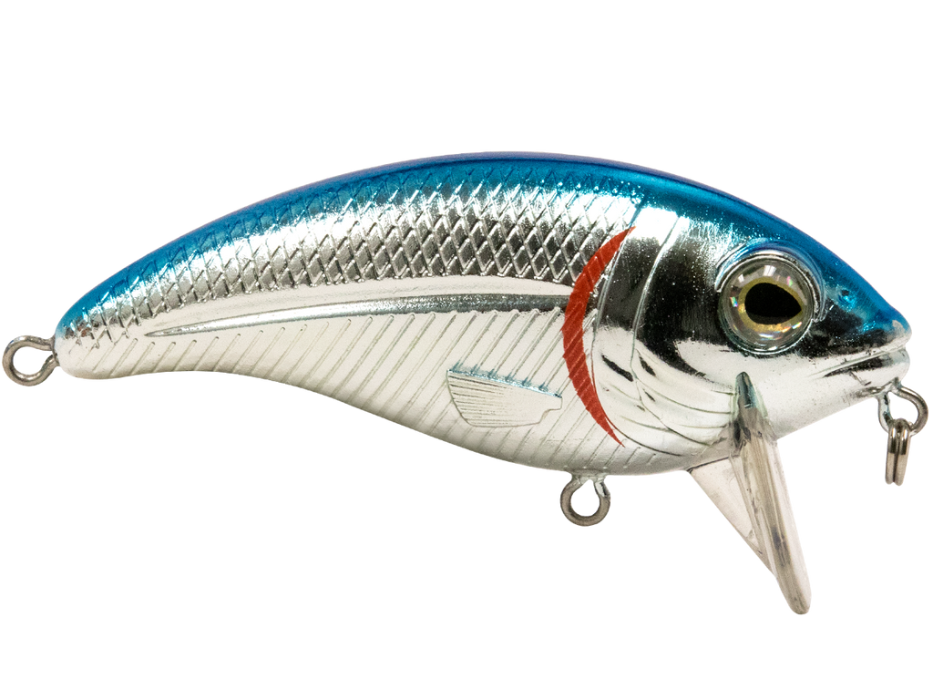 Bull Nose, view 12
