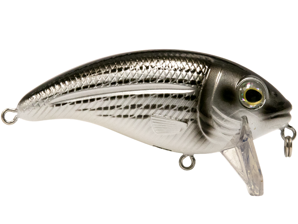 Bull Nose, view 18