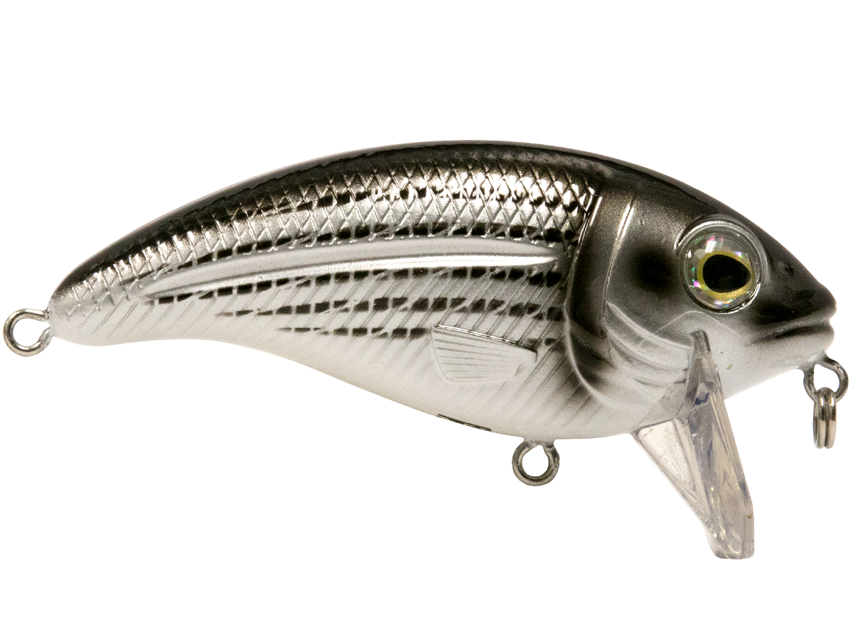 Bull Nose, view 18