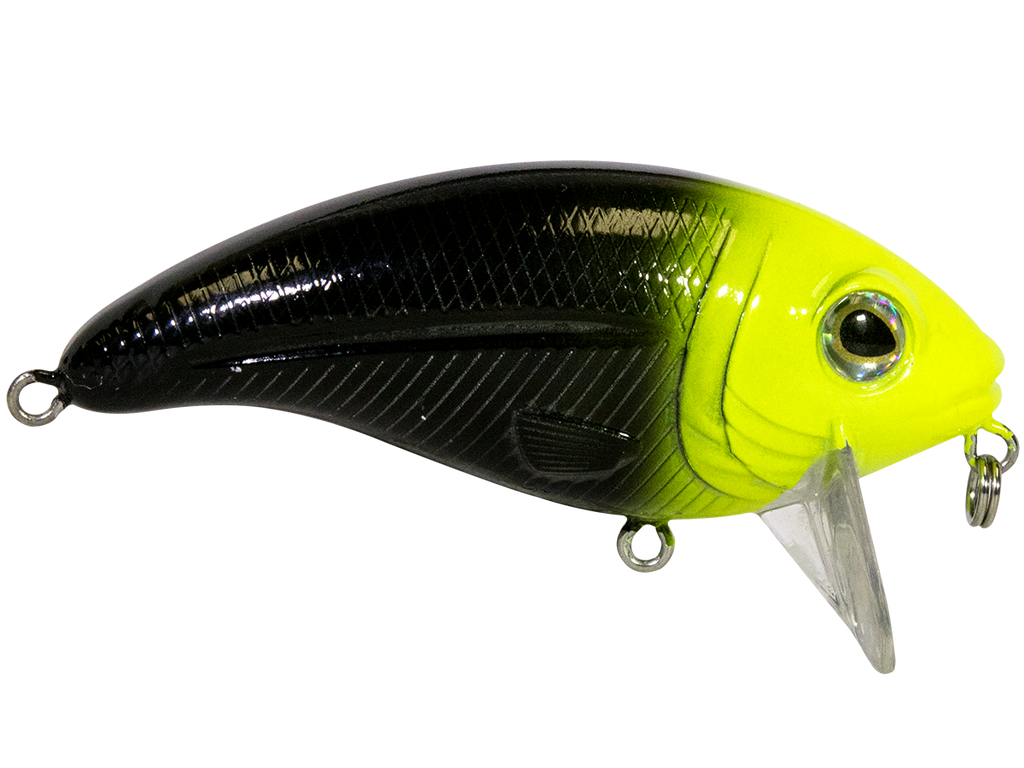 Bull Nose, view 24