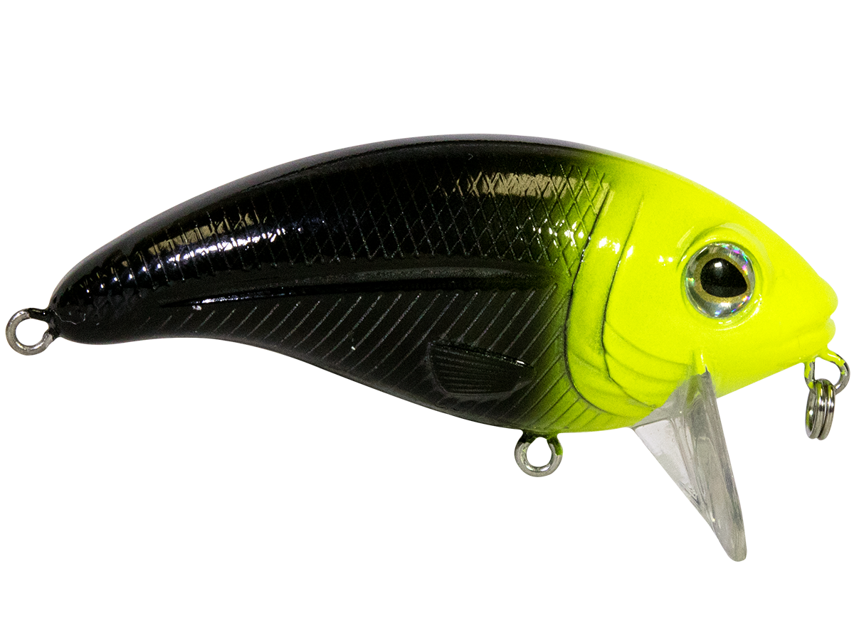Bull Nose, view 24