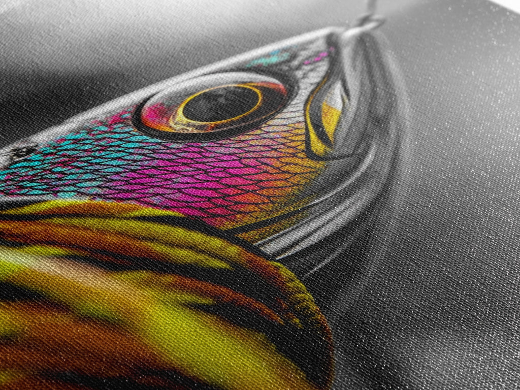 Colorful Lure, Fishing Hook, Bold Scales, Rainbow Detail, Framed Canvas Print, Man Cave Art, Fishing Decor, Vibrant Realism W