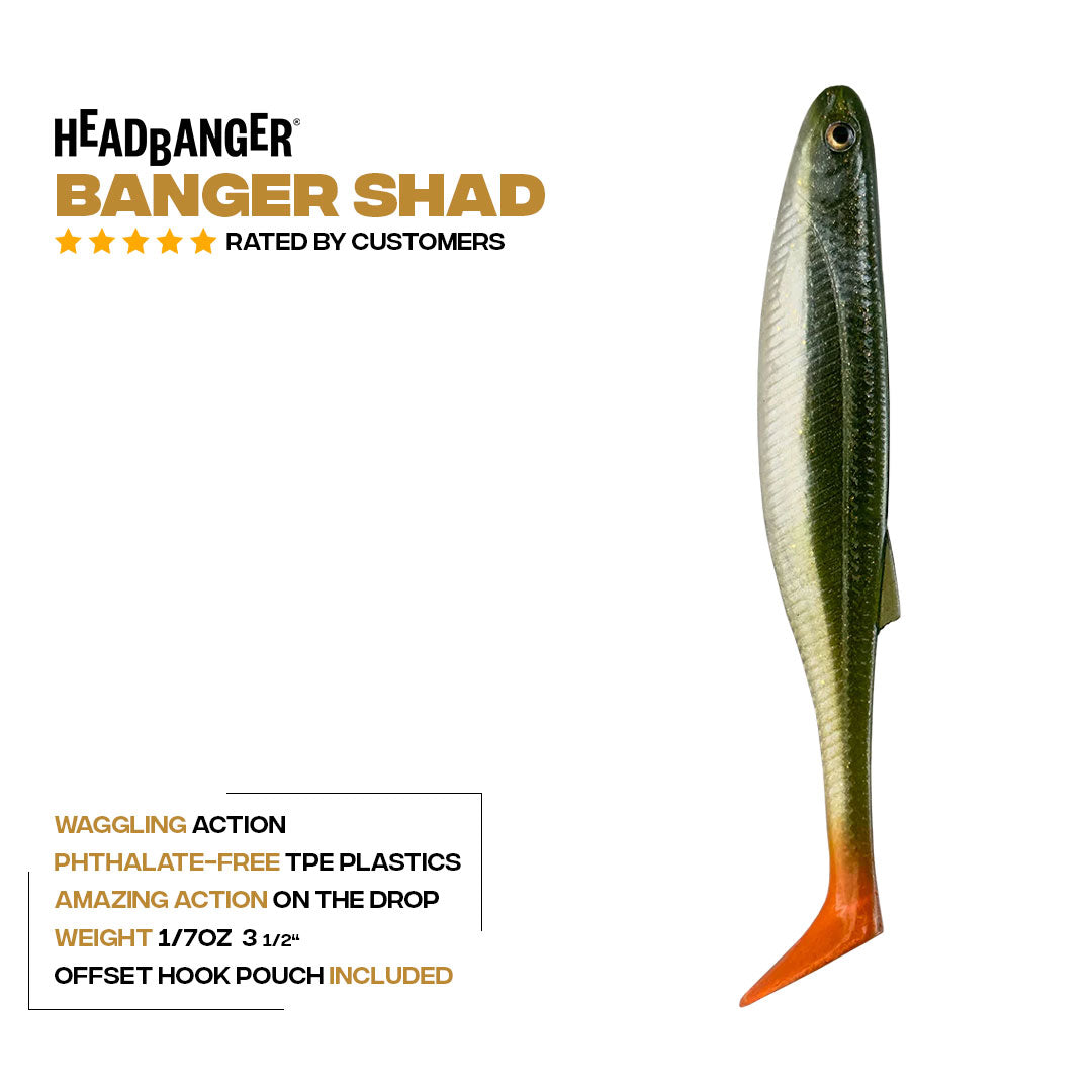 Headbanger BangerShad 3-1/2" 5-pack - musky lure