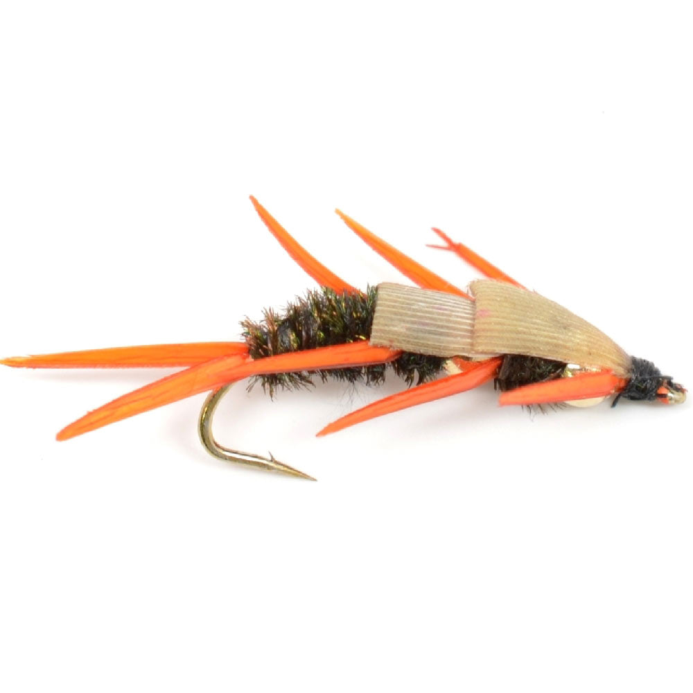 Double Bead Peacock Stonefly Nymph with Amber Biot Legs Fly Fishing Flies - 6 Flies Hook Size 8, view 2