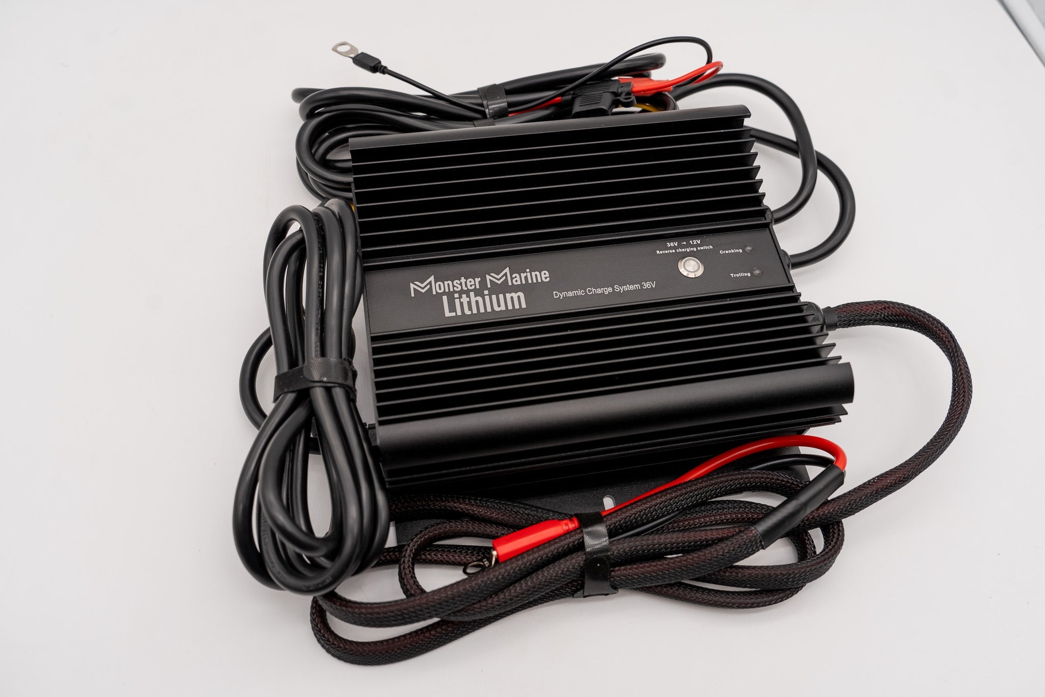 Dynamic Charge System 36V "The Ultimate Dual Charger" — marine battery equipment, view 3