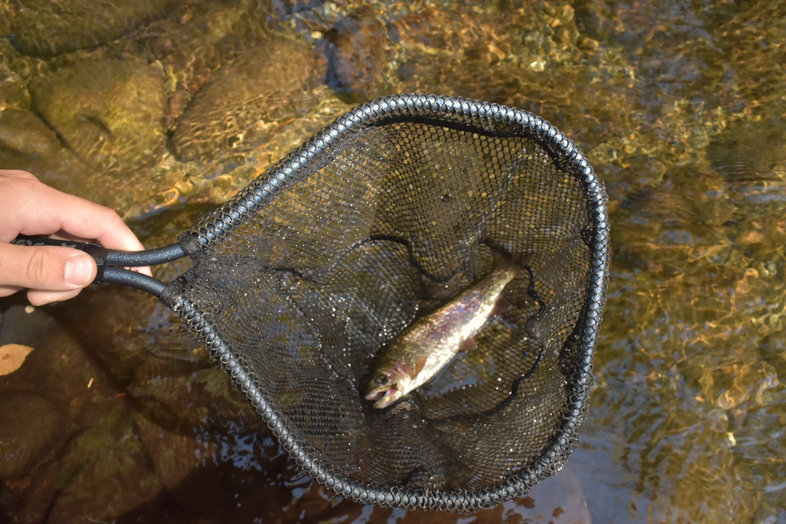 Native Brook Net - fly fishing gear, view 3