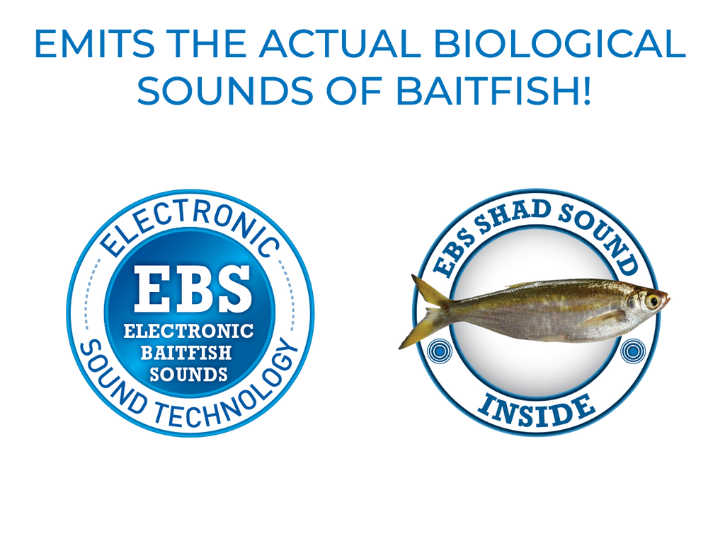 EBS Jigging Spoon — fishing jig, view 16