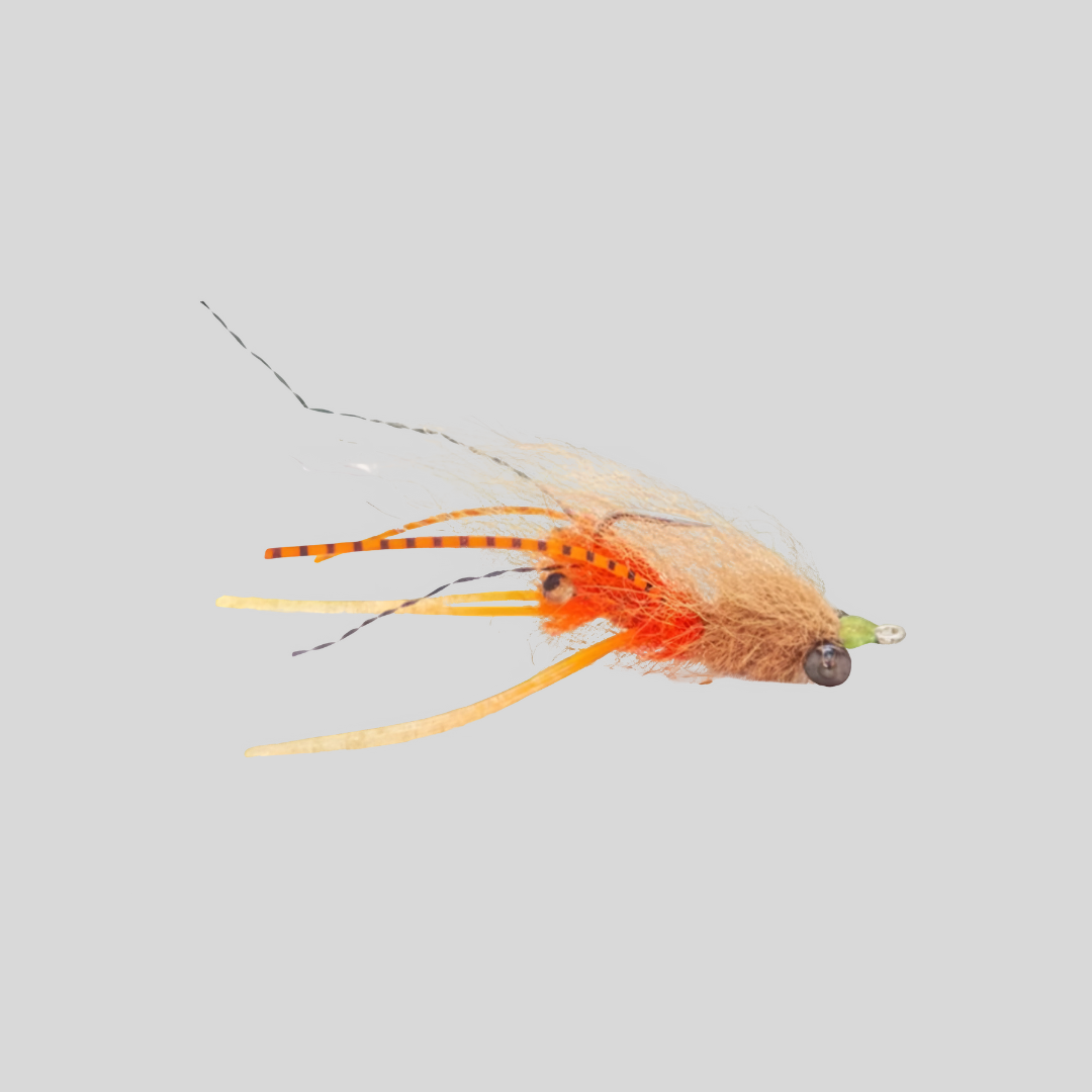 FS Squimpish Shrimp by Flymen Fishing Company product image