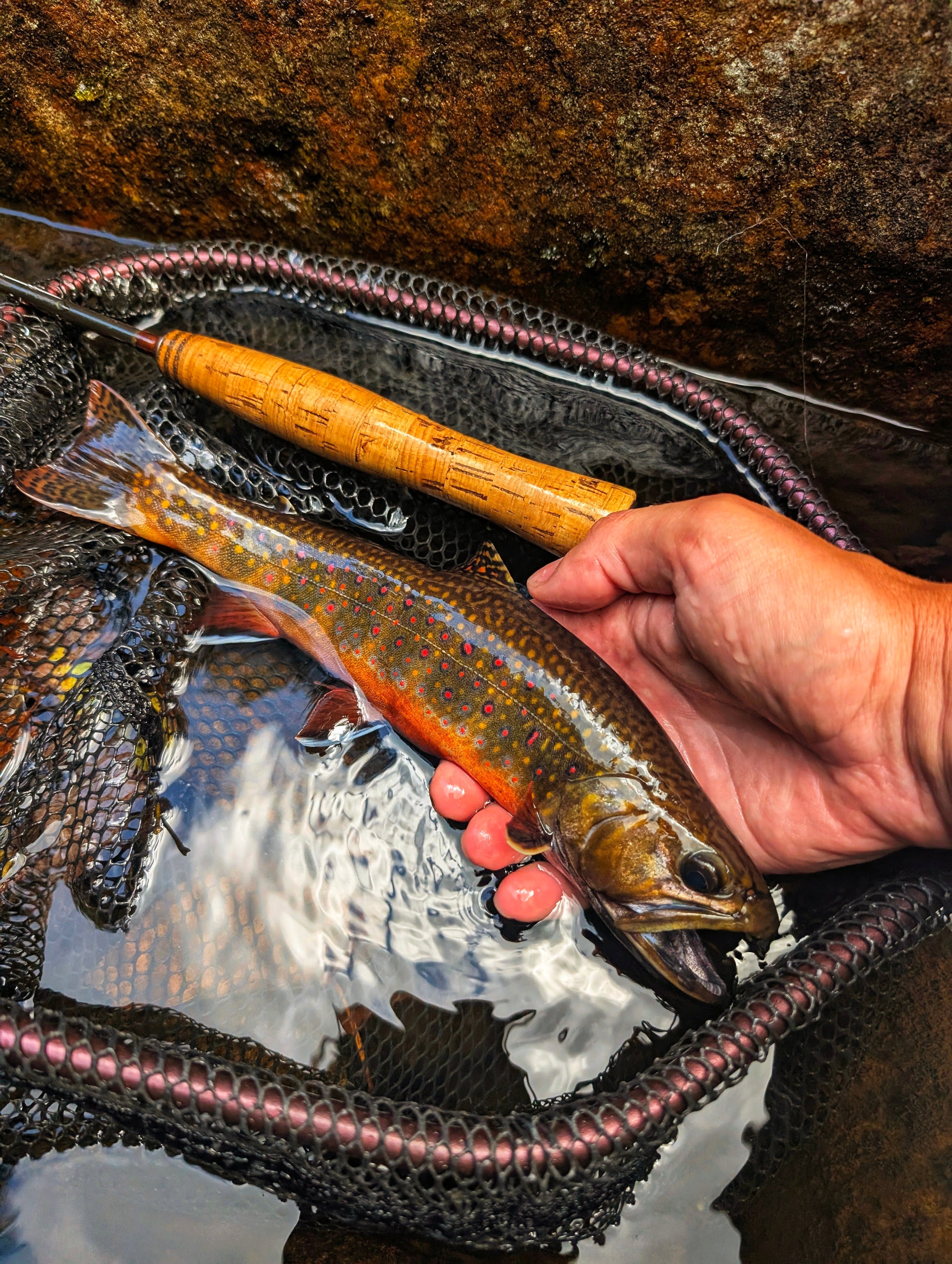 Native Bow Net - fly fishing gear, view 2