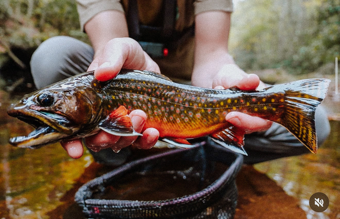 Native Bow Net - fly fishing gear, view 3
