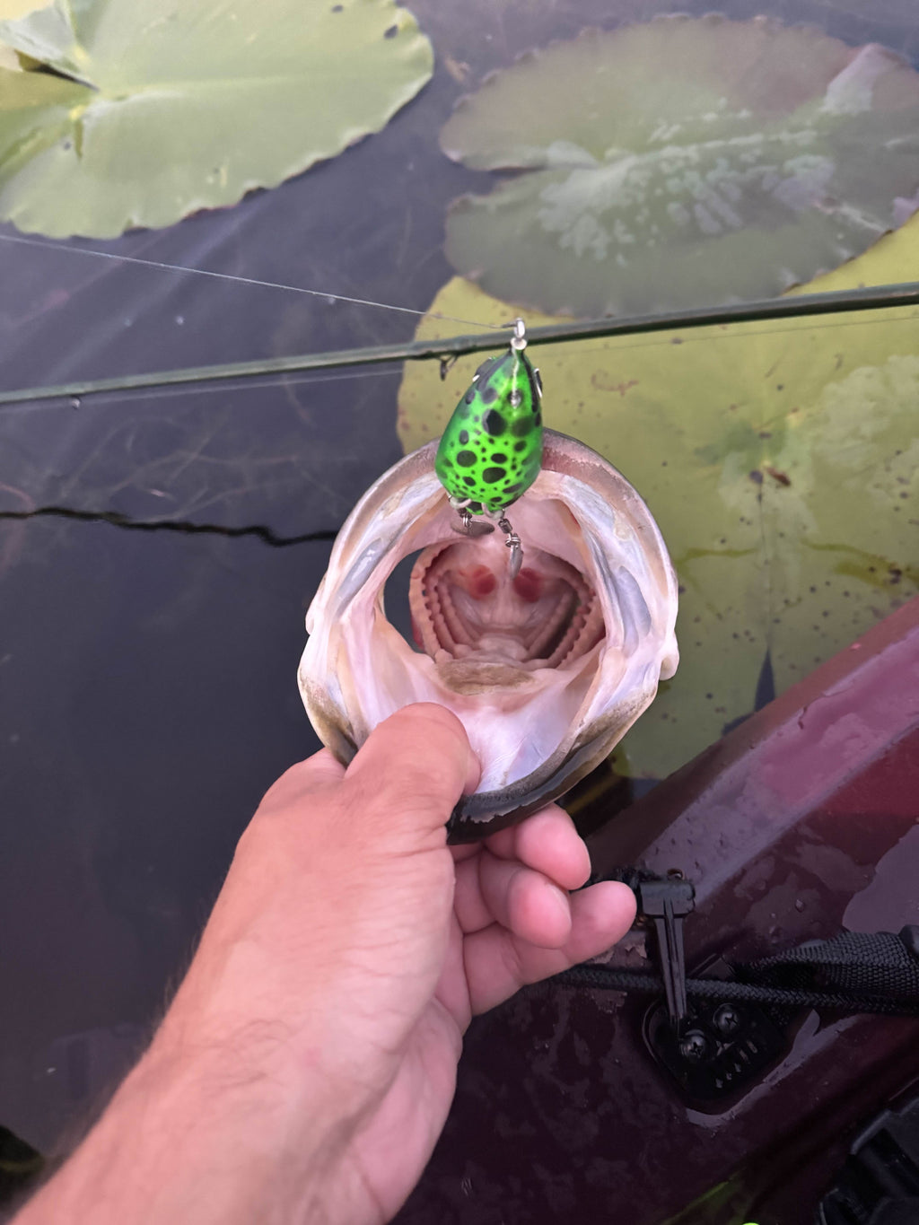 Chop Frog - custom fishing lure, view 2