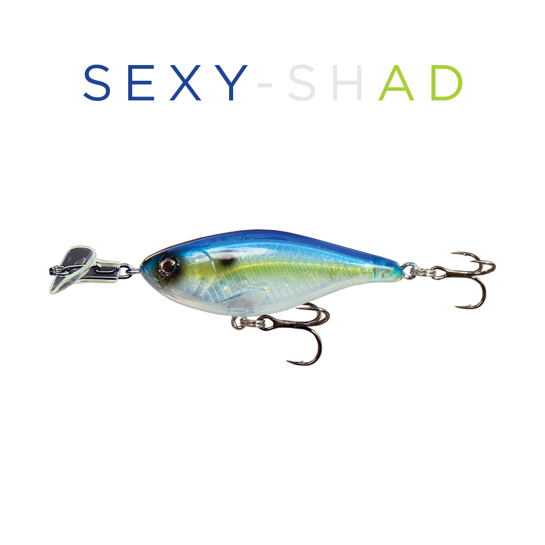 Headbanger Cranky Shad 2-1/2 - musky lure, view 4