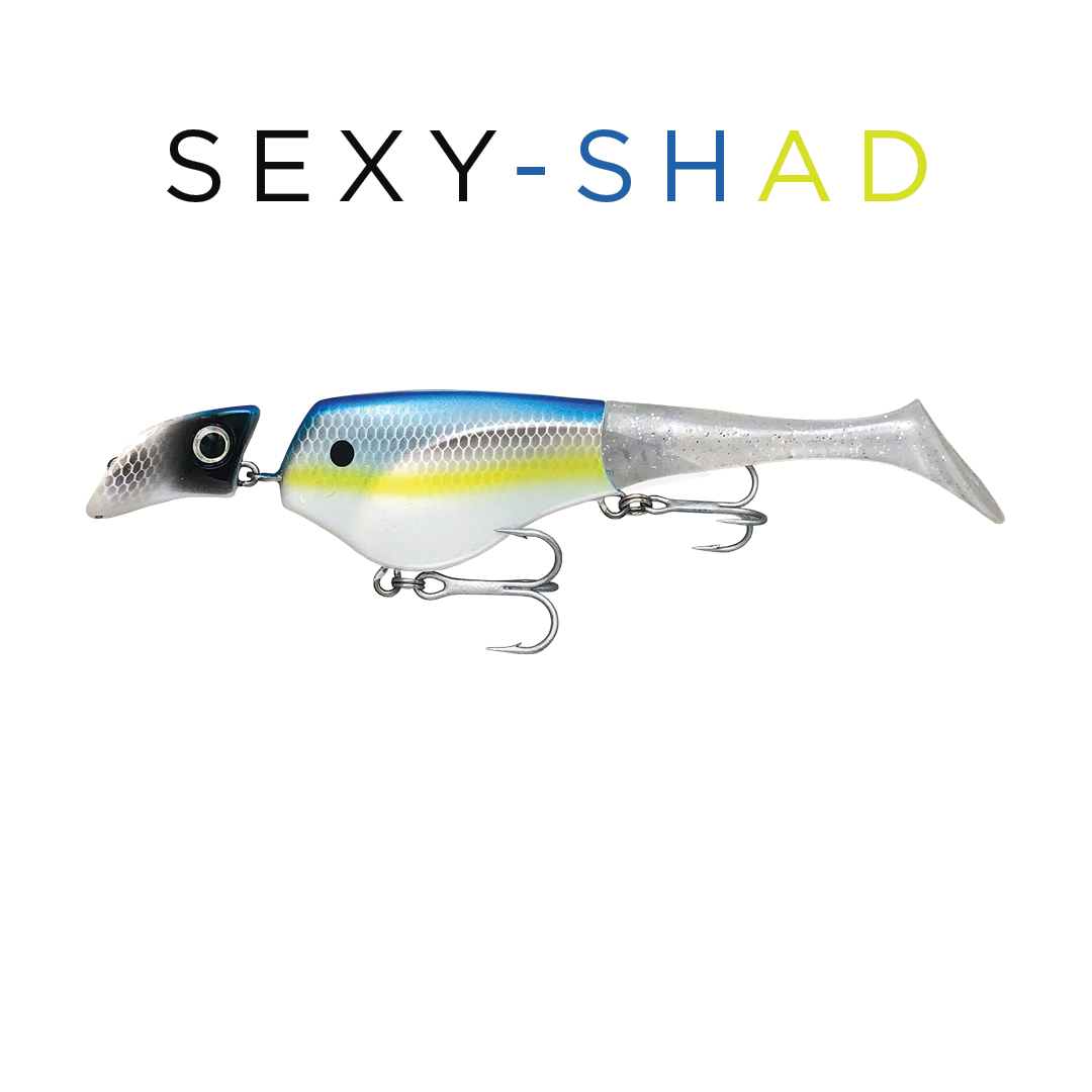Headbanger Shad 6" - musky lure, view 23
