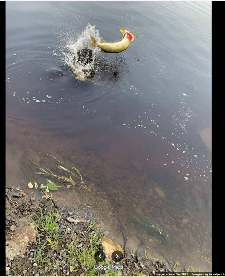 NICKELODEON SLIME — musky fishing lure, view 2