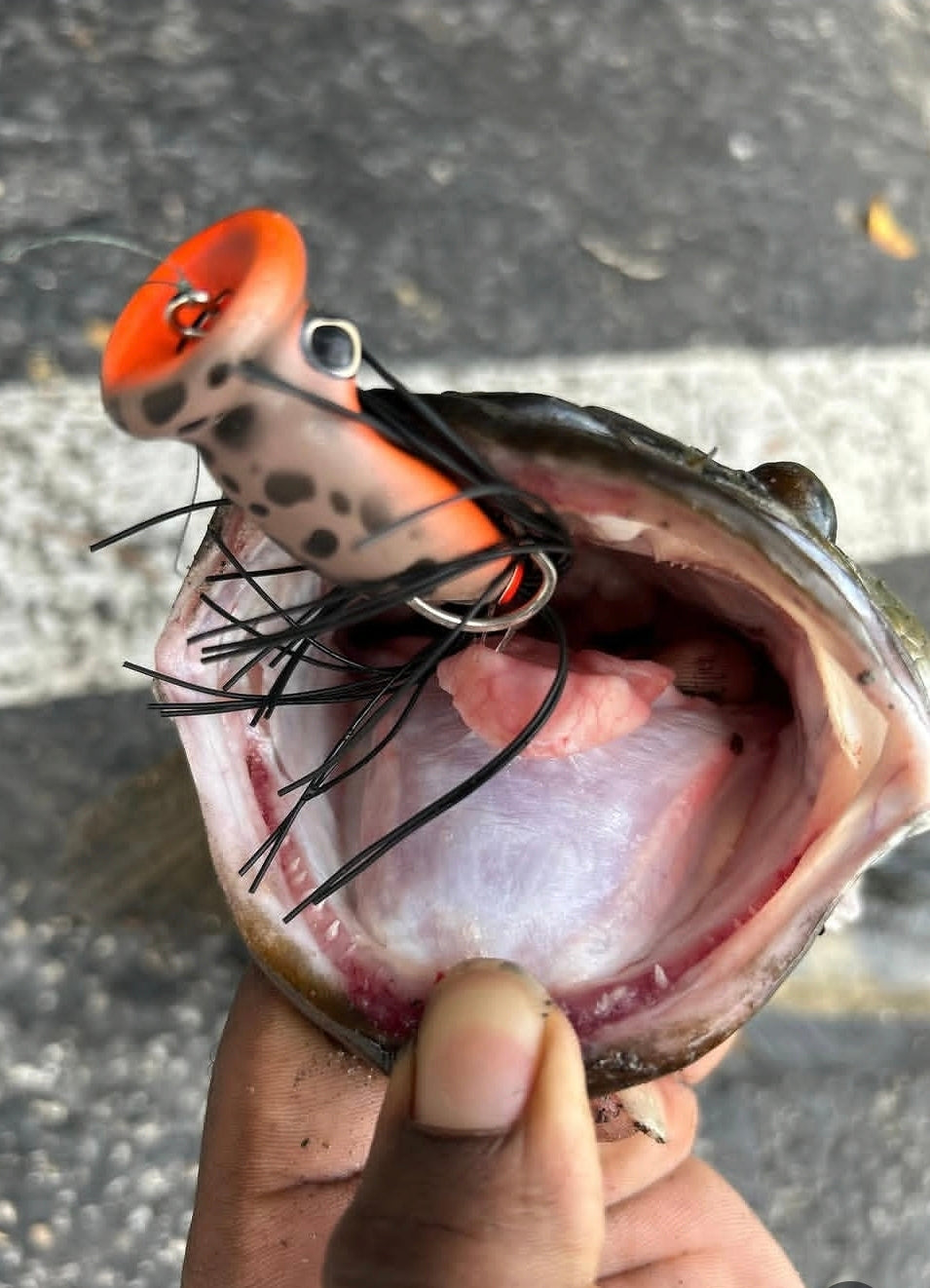 CHUGGERKNOT - custom fishing lure