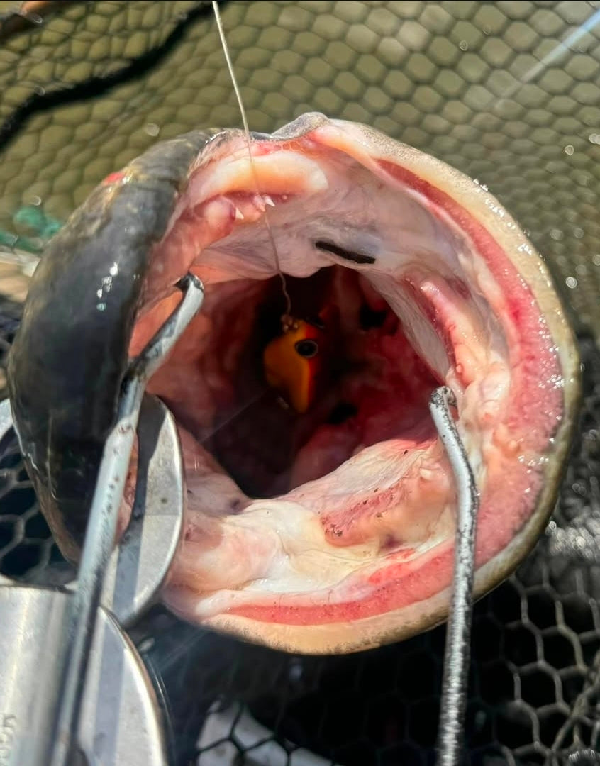 King Cobra - custom fishing lure, view 2