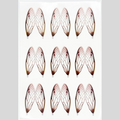 Surface Seducer® Cicada Wings by Flymen Fishing Company product image