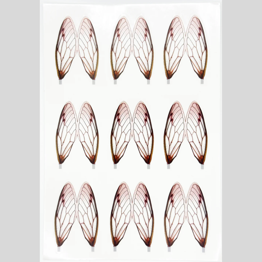 Surface Seducer® Cicada Wings by Flymen Fishing Company product image