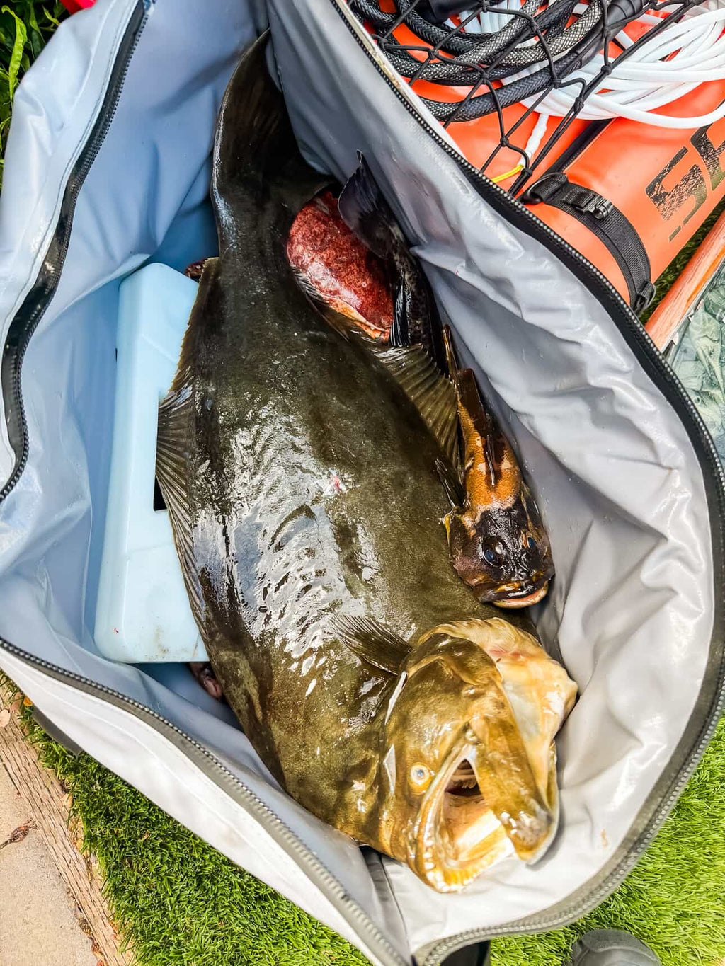 45QT Fish Cooler Bag With Flat Bottom, view 8