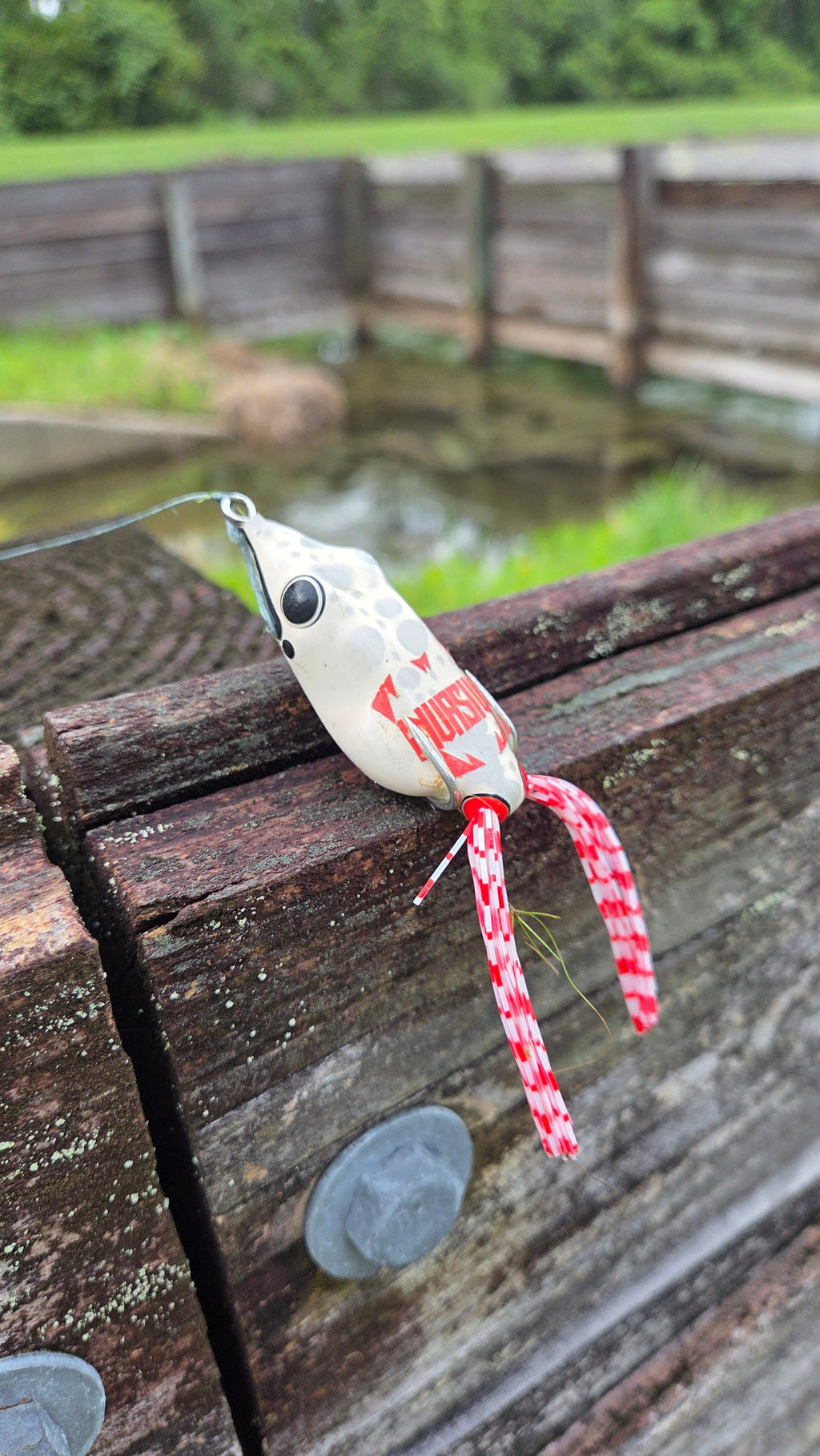 Swamp Walker - custom fishing lure, view 2