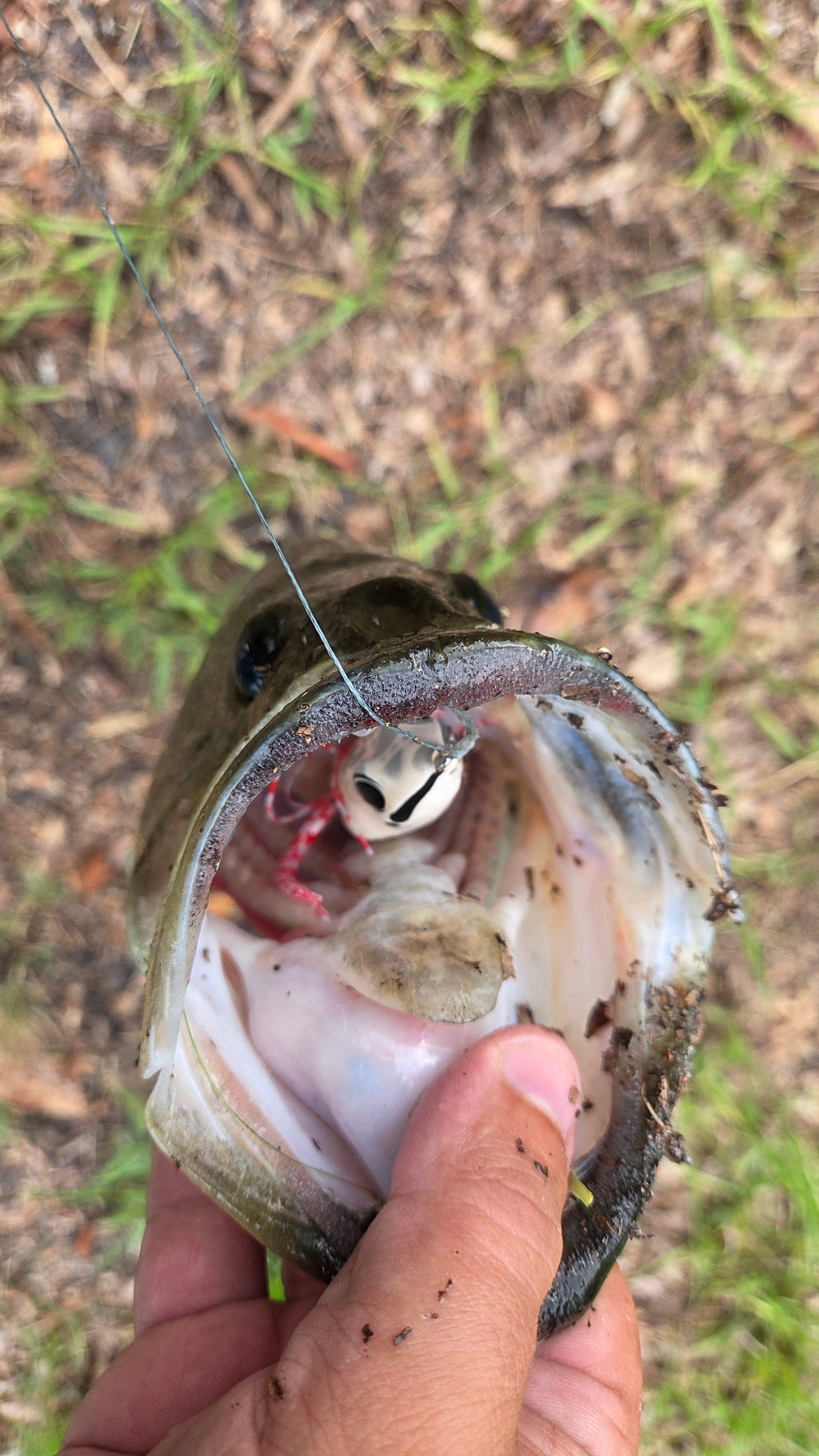 Swamp Walker - custom fishing lure, view 6