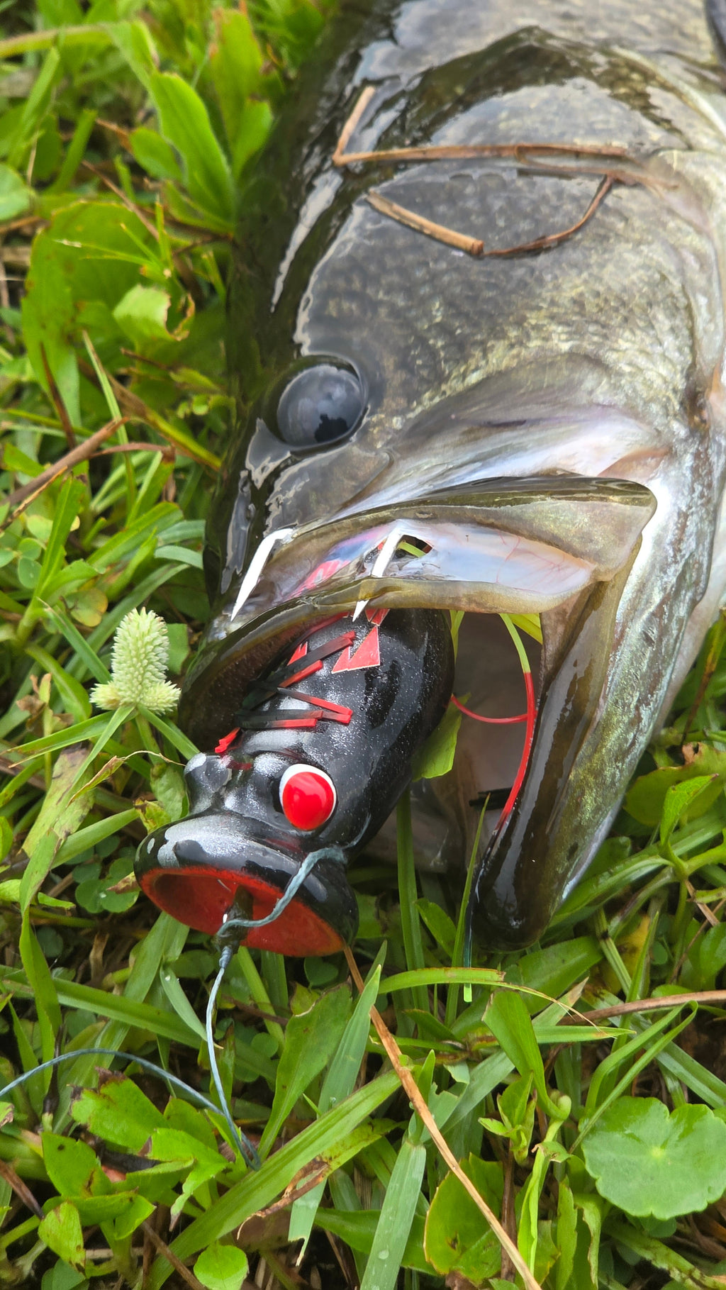 CHUGGERKNOT - custom fishing lure, view 2