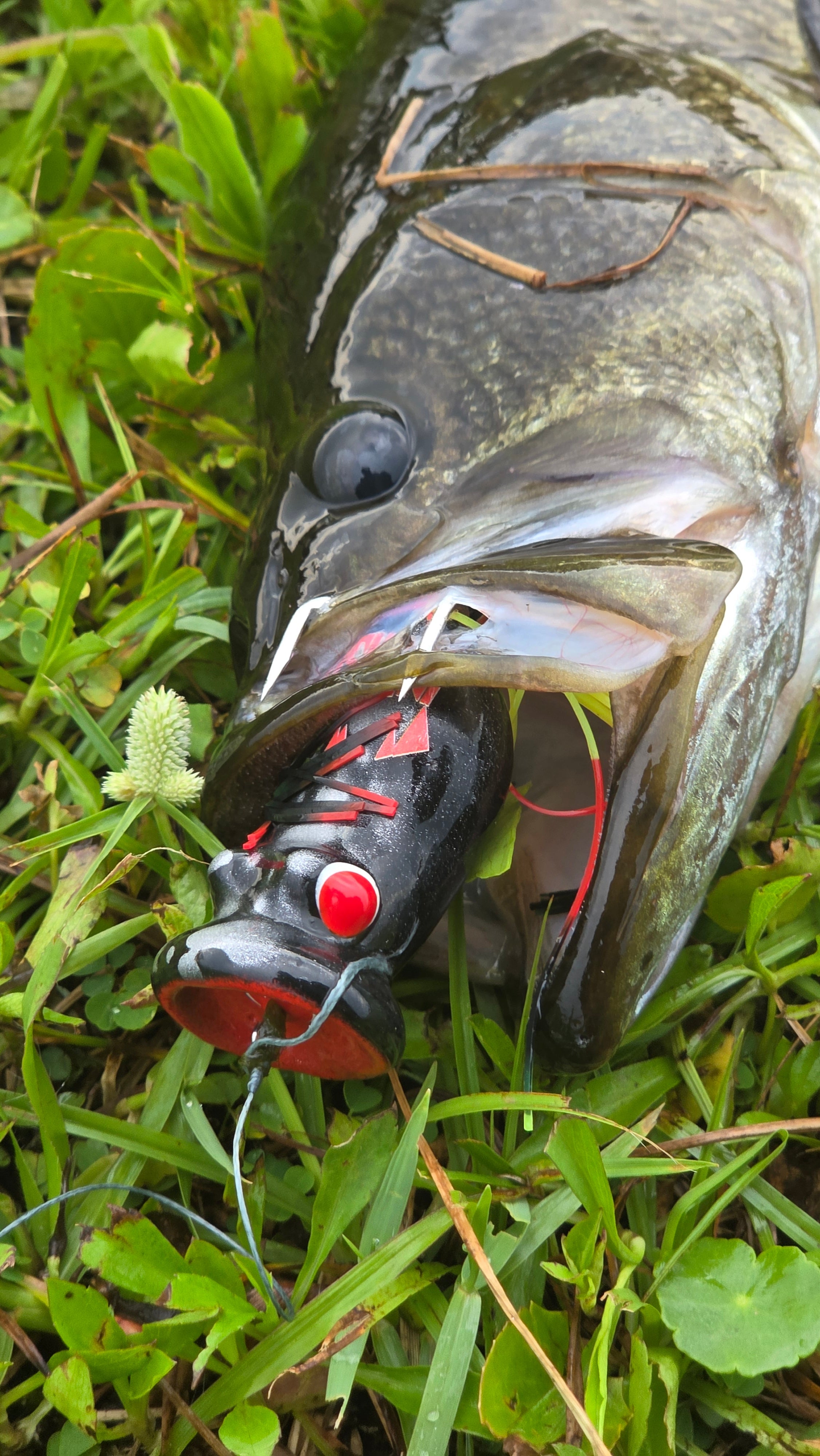 CHUGGERKNOT - custom fishing lure, view 2